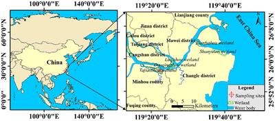 Nitrogen deposition may increase litter accumulative CO2 release in a subtropical estuarine marsh